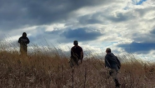 Natural Areas Work Days 