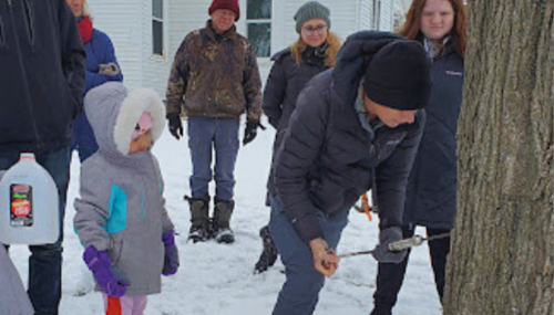 Maple Syrup Making Workshop