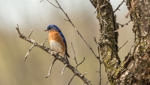 Nature Photography 